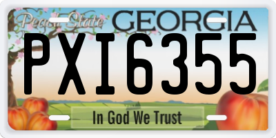 GA license plate PXI6355