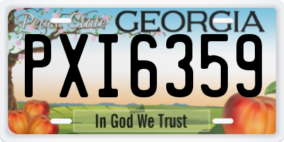 GA license plate PXI6359