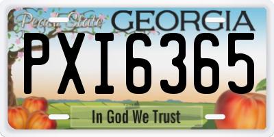 GA license plate PXI6365