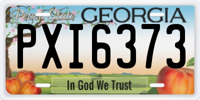 GA license plate PXI6373