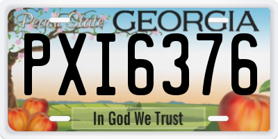 GA license plate PXI6376