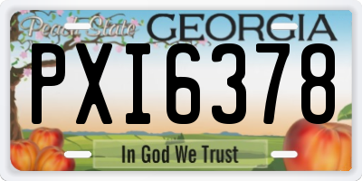 GA license plate PXI6378