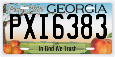 GA license plate PXI6383