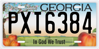 GA license plate PXI6384
