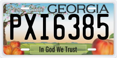 GA license plate PXI6385