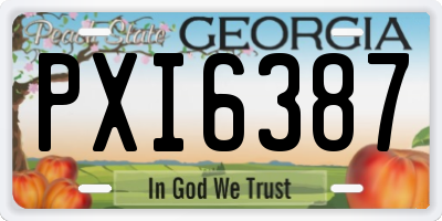 GA license plate PXI6387