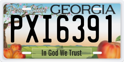 GA license plate PXI6391