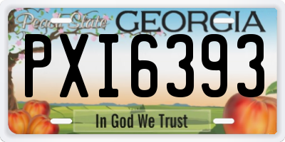 GA license plate PXI6393