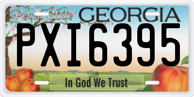 GA license plate PXI6395