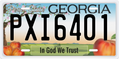 GA license plate PXI6401