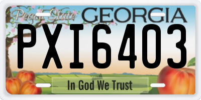 GA license plate PXI6403