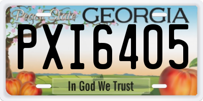 GA license plate PXI6405
