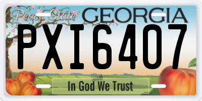 GA license plate PXI6407