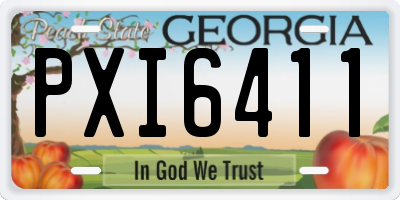 GA license plate PXI6411
