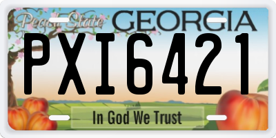 GA license plate PXI6421
