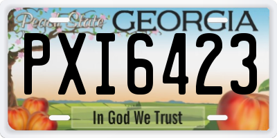 GA license plate PXI6423