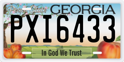 GA license plate PXI6433