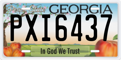 GA license plate PXI6437
