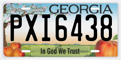 GA license plate PXI6438