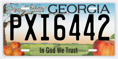 GA license plate PXI6442