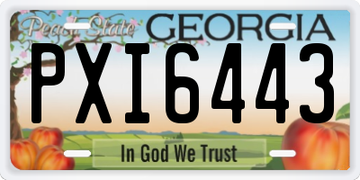 GA license plate PXI6443
