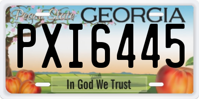 GA license plate PXI6445