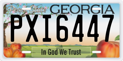 GA license plate PXI6447