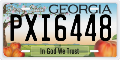 GA license plate PXI6448