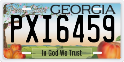 GA license plate PXI6459
