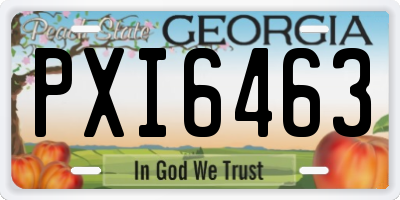GA license plate PXI6463