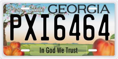GA license plate PXI6464