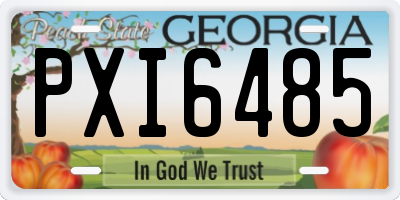 GA license plate PXI6485