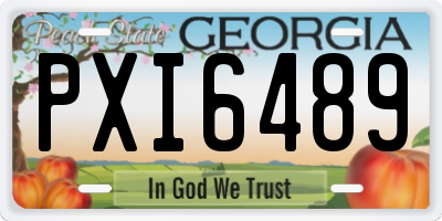 GA license plate PXI6489
