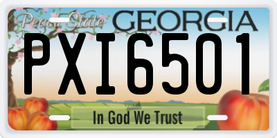 GA license plate PXI6501