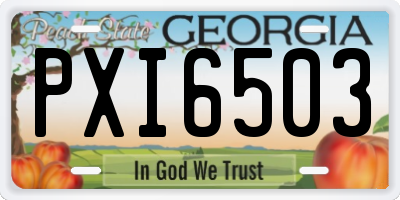 GA license plate PXI6503