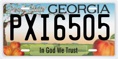 GA license plate PXI6505