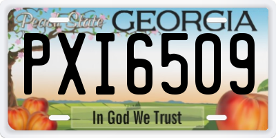 GA license plate PXI6509