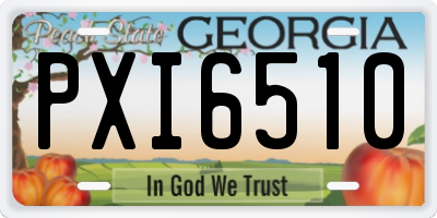 GA license plate PXI6510