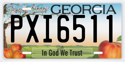 GA license plate PXI6511