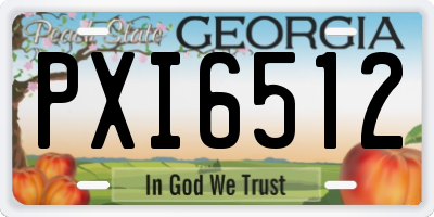 GA license plate PXI6512