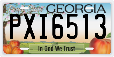 GA license plate PXI6513