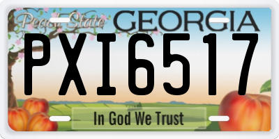 GA license plate PXI6517