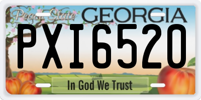 GA license plate PXI6520