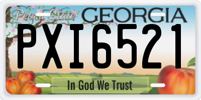 GA license plate PXI6521