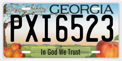 GA license plate PXI6523
