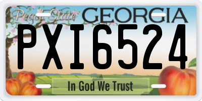 GA license plate PXI6524