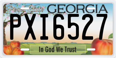 GA license plate PXI6527