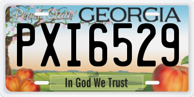 GA license plate PXI6529
