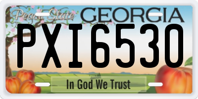 GA license plate PXI6530
