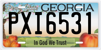 GA license plate PXI6531
